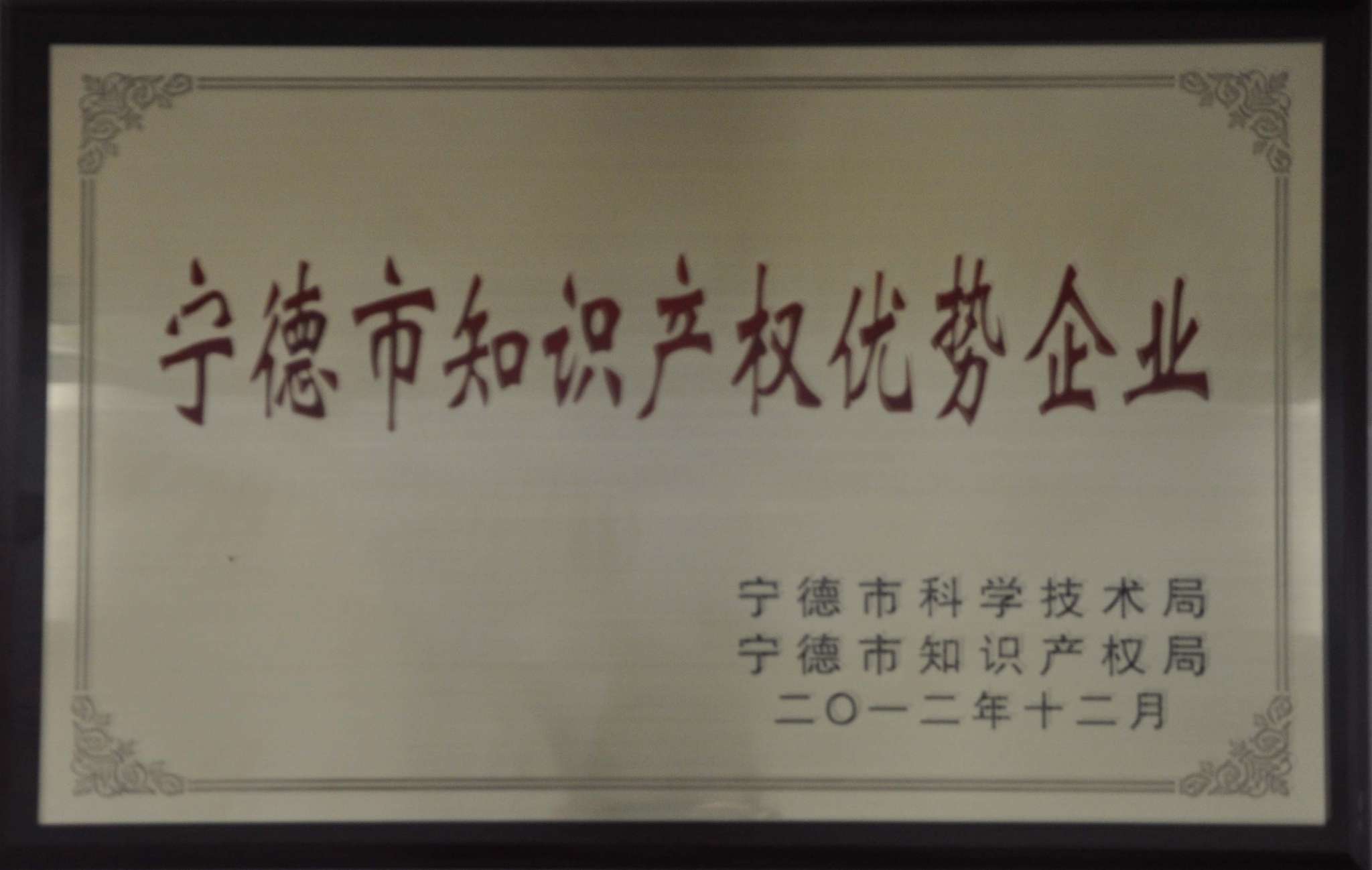 2012宁德市知识产权优势企业